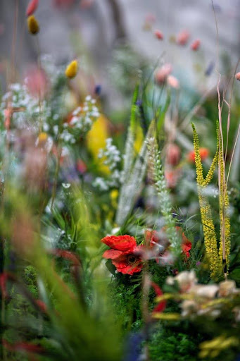De mooiste bloemen voor herfstboeketten: een seizoen vol warme kleuren