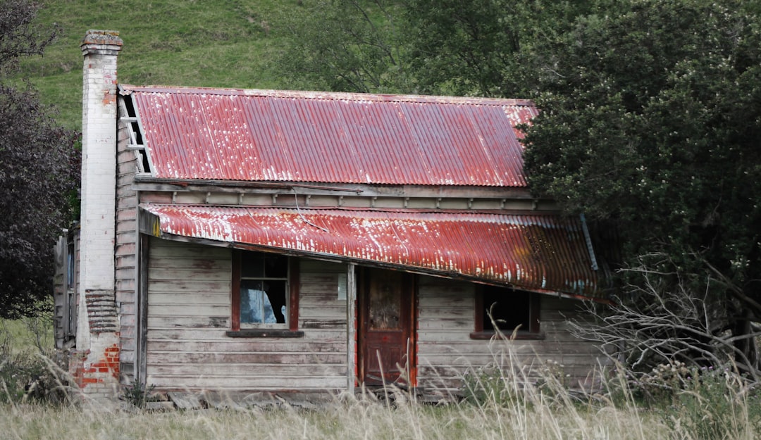 Renovlies of stucen: zo maak je de juiste keuze voor je muur