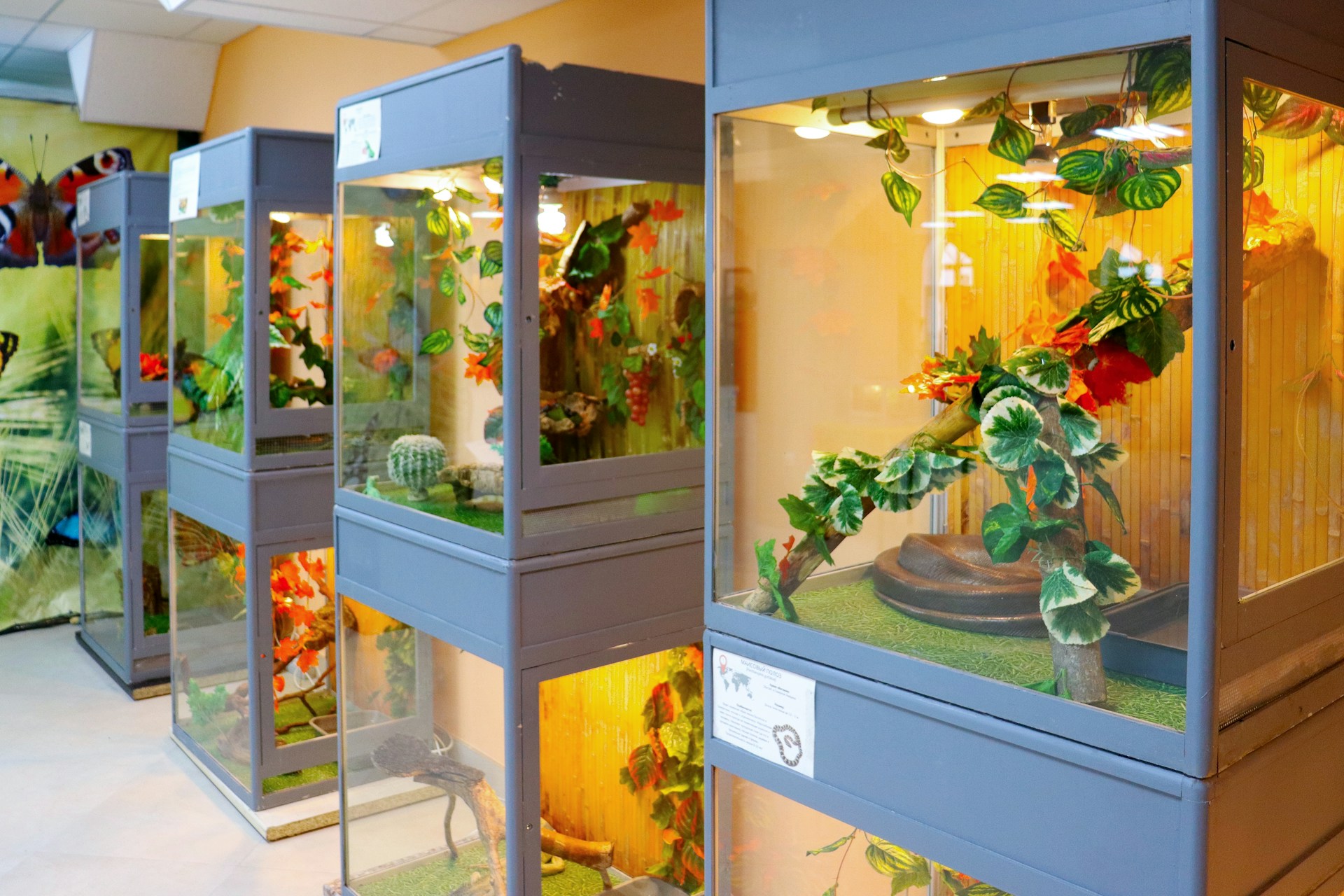 Creatieve composities met planten in en rond aquariums