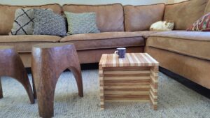 hout oliën met natuurlijke olie